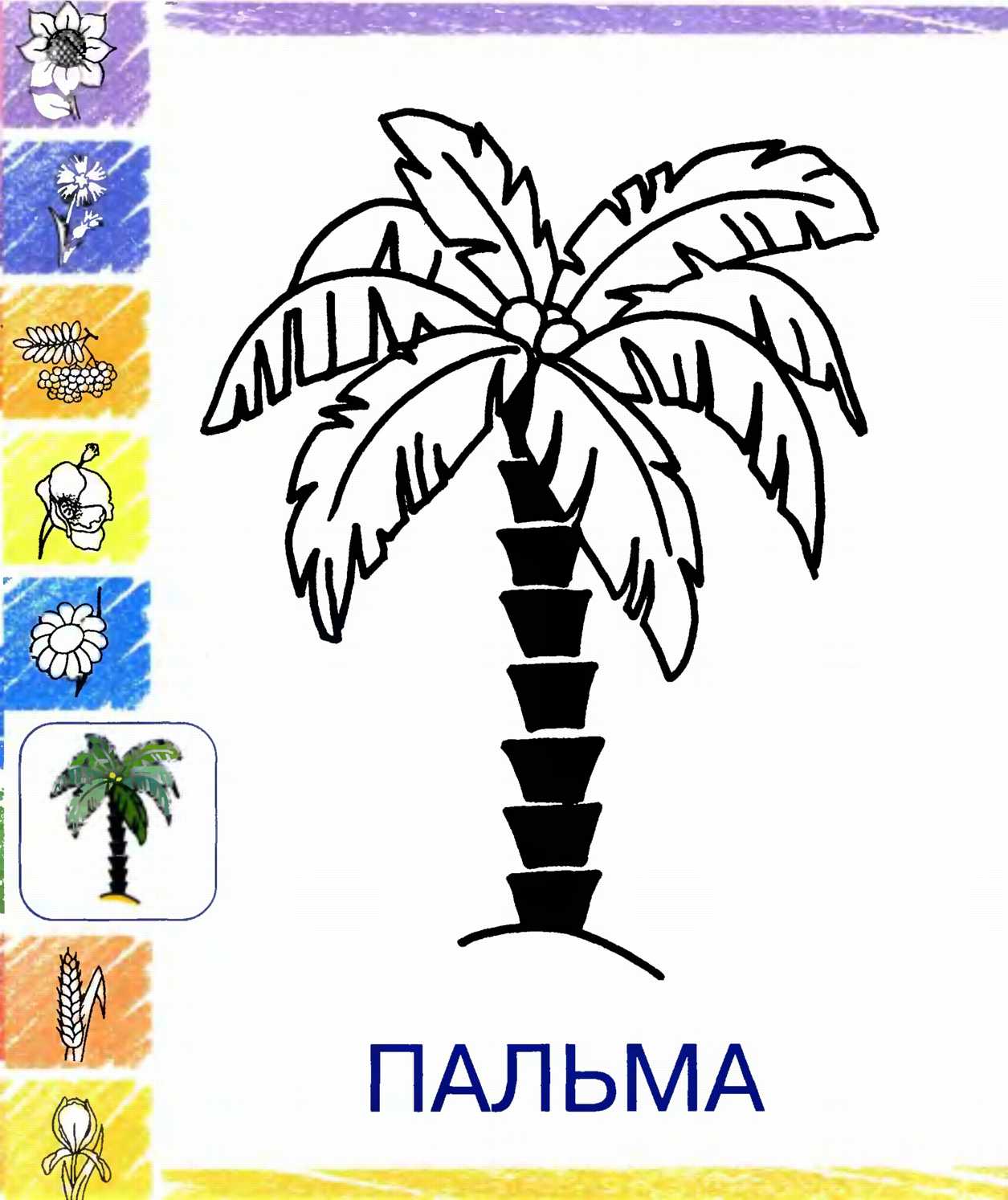 Раскраска Пальма для детей 3-4 лет